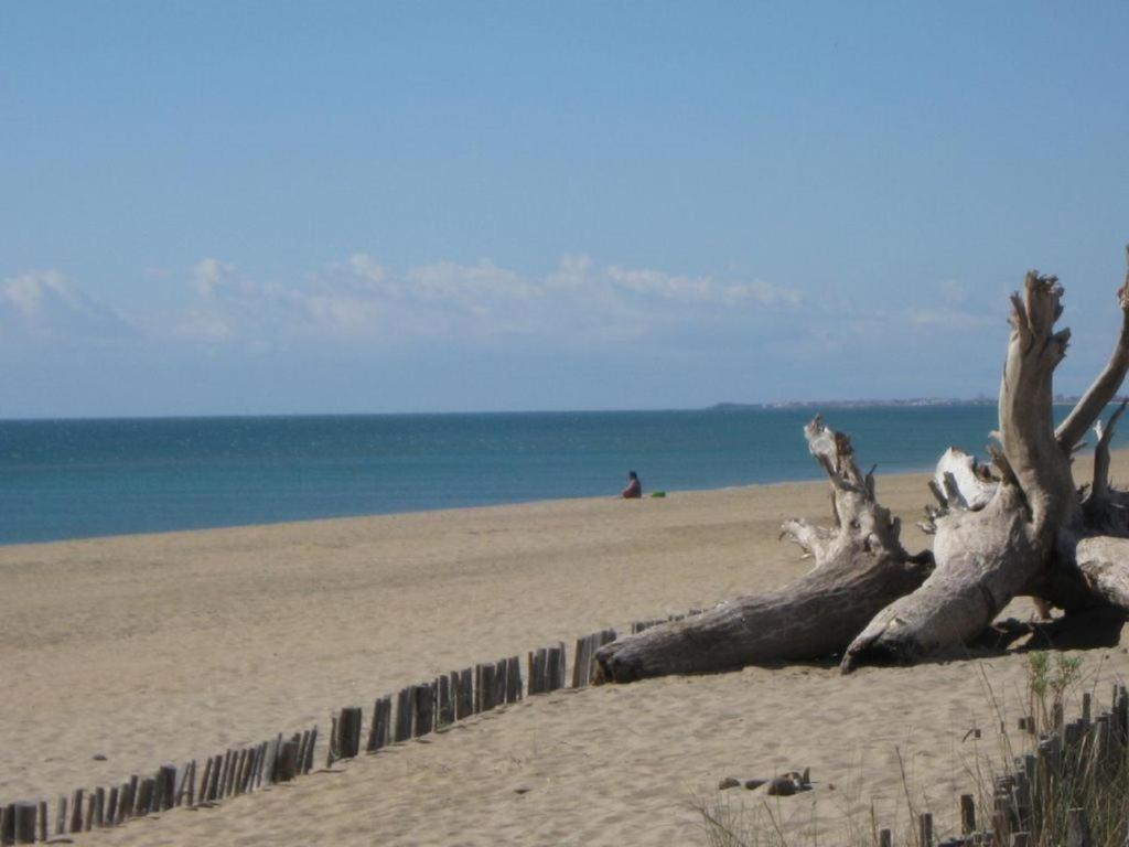L'Etoile De Mer Sète Kültér fotó